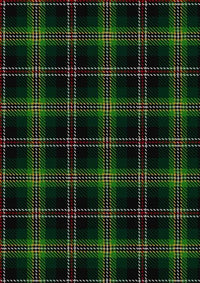 Madewell_Tartan_Fabric_4024
