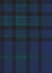 Matheson_Hunting_Tartan_Fabric