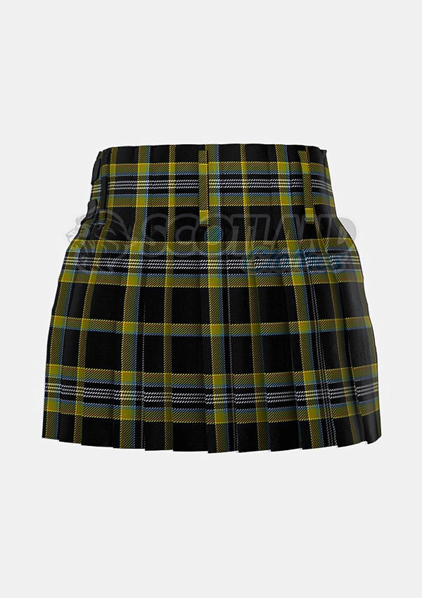 McIntyre Collegium Tartan Kilt Back