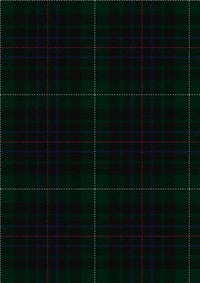 Meiklejohn_Tartan_Fabric_3175