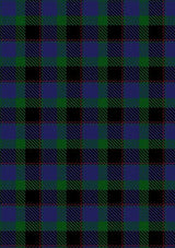 Meoni_Personal_Tartan_Fabric_4124
