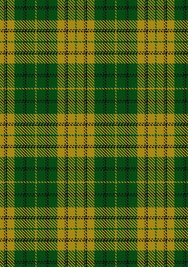 Meredith of Wales Tartan Fabric