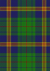 Mexico_Tartan_Fabric