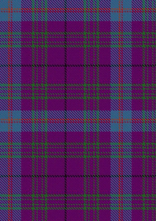 Michie_Tartan_Fabric_100042