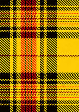 Morgan_Walsh_Tartan_Fabric