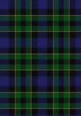 Mowat_2_Tartan_Fabric_258