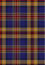 Murtaugh_Tartan_Fabric_4022
