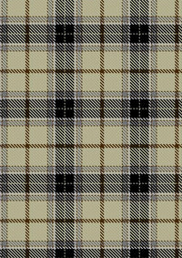 New Forest Winter Tartan Fabric