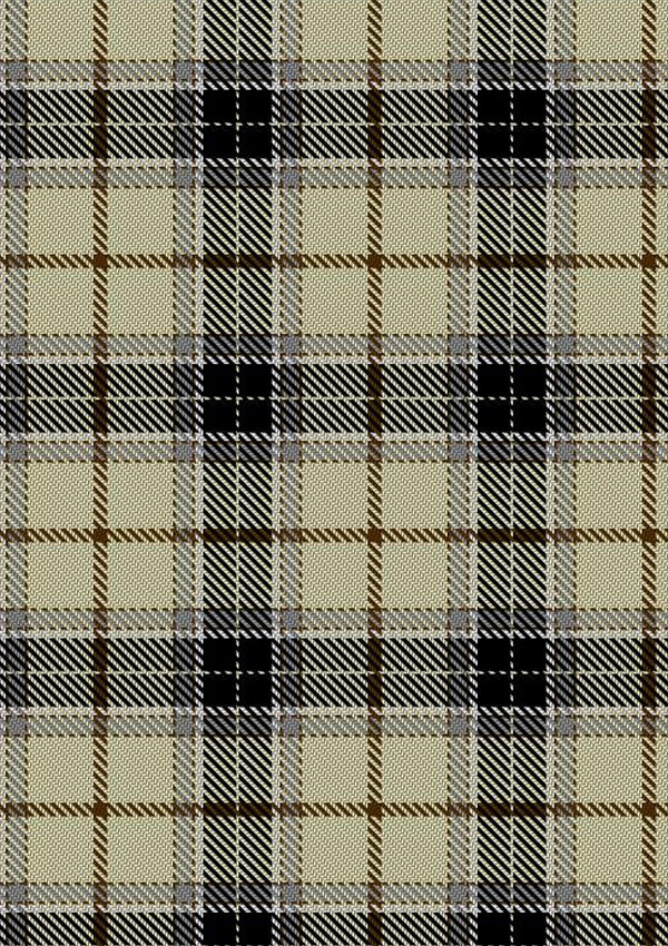 New Forest Winter Tartan Fabric
