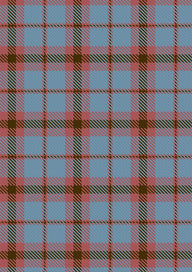 O'Connor Dress Tartan Fabric