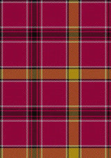 O_Meehan_Tartan_Fabric_5902
