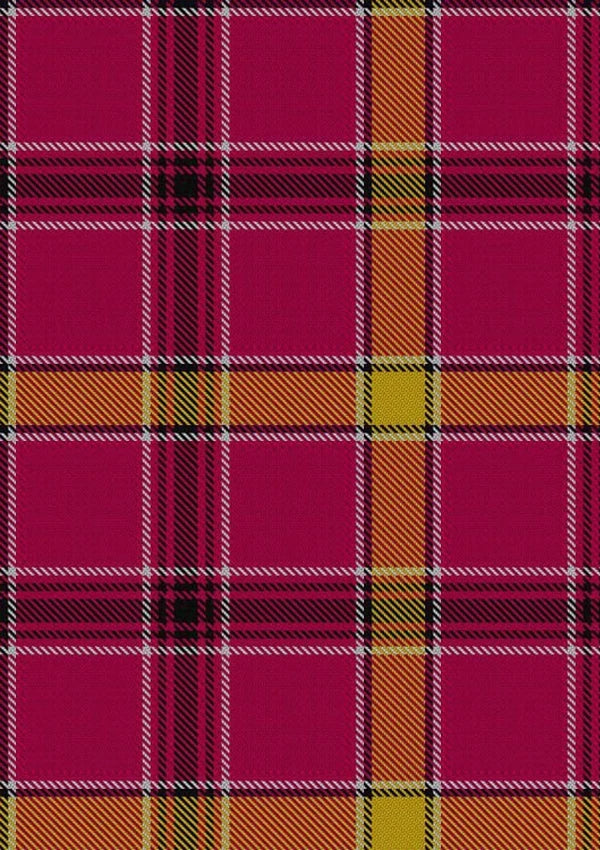 O_Meehan_Tartan_Fabric_5902