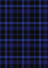 Oban_Tartan_Fabric_5529