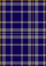 Ochterlonie_Tartan_Fabric_2677