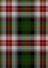 Palmer_Edward_Tartan_Fabric_4796