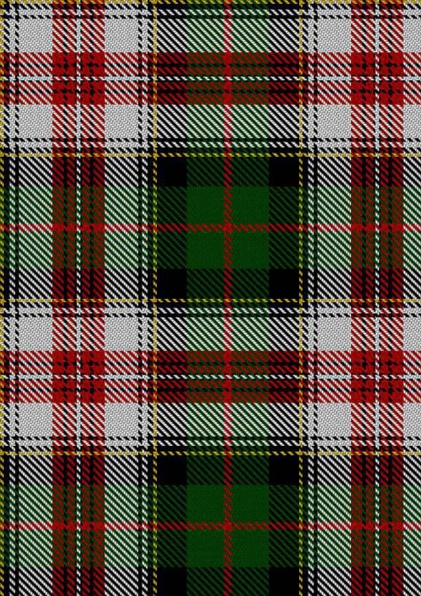 Palmer_Edward_Tartan_Fabric_4796