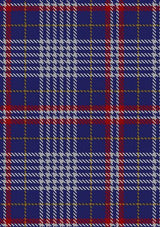 Parker_Dress_USA_Tartan_Fabric_6446