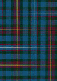 Patel Tartan Fabric