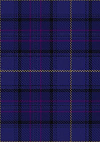 Payne_Tartan_Fabric_2554