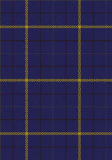 Pearson_Tartan_Fabric_1734