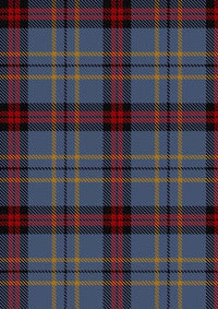Perkins_Tartan_Fabric_11211