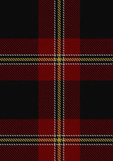 Perry_Dress_Personal_Tartan_Fabric_1214