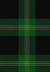 Perry_Hunting_Green_Personal_Tartan_Fabric_1119
