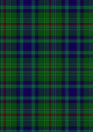 Peter Pan Tartan Fabric