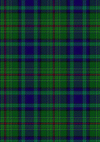 Peter Pan Tartan Fabric