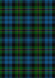 Polaris Military Tartan Fabric