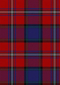 Porsche_Bank_Austria_Tartan_Fabric_11597
