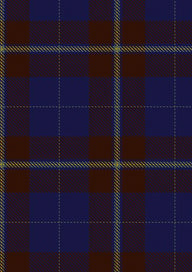 Potts Tartan Fabric