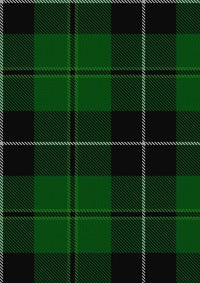 Raeside_Tartan_Fabric_6633