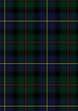 Ralph Lauren Tartan Fabric