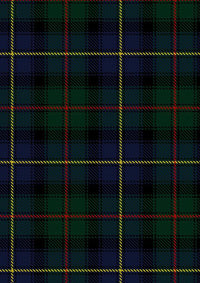 Ralph Lauren Tartan Fabric