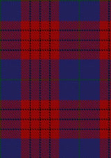 Robinson_Dress_Pendleton_1_Tartan_Fabric_739
