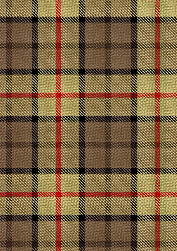 Rogers, C Tartan Fabric