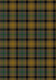 Rothesay Tartan Fabric