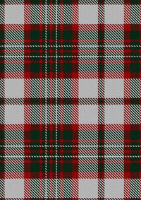 Scott_Dress_Tartan_Fabric_1006