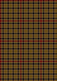 Seaforth_Estate_Check_Tartan_Fabric_5344