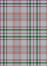 Shaw_Dress_Personal_Tartan_Fabric_6381