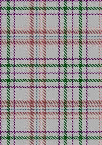Shaw_Dress_Personal_Tartan_Fabric_6381