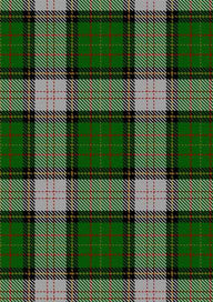 Spanish Shirt Tartan Fabric