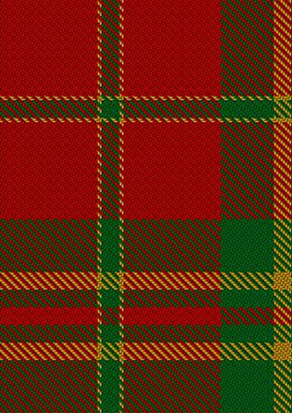 Spice_Apple_Tartan_Fabric_5314