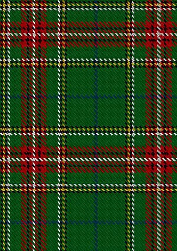 Steel_Tartan_Fabric_6856