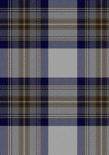 Stewart_Dress_Blue_Tartan_Fabric_1794