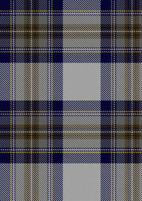 Stewart_Dress_Blue_Tartan_Fabric_1794