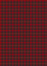 Stewart_Royal_1988_MS_Tartan_Fabric_1369