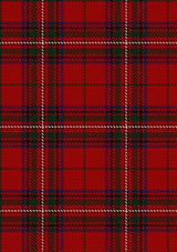 Stewart_of_Rothesay_1_Tartan_Fabric_847
