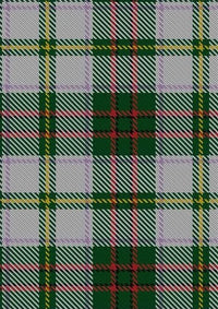 Taylor_Dress_2_Tartan_Fabric_823